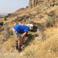 John Day Fossil Beds National Monument﻿